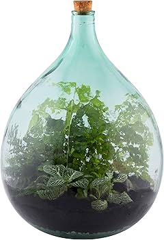 81mMu-U+QML._AC_UF350,